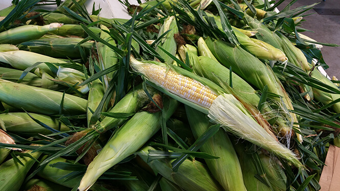 Fresh from our fields, corn on the cob from Keil's Produce and Greenhouse in Swanton, OH.