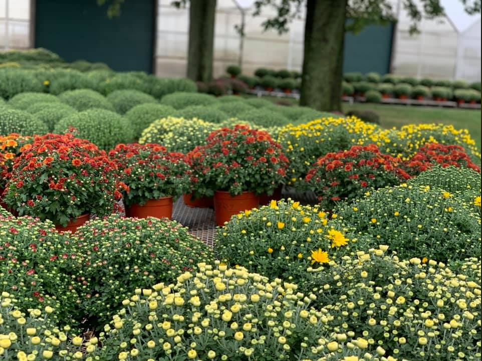 Keil's Produce and Greenhouse Toledo Garden Center & Farmers Market