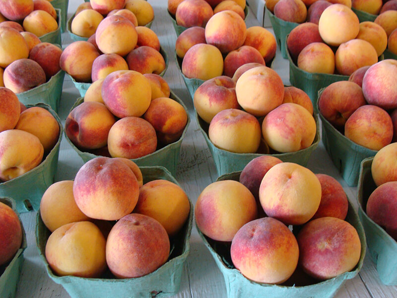 Fresh peaches from Keil's Produce and Greenhouse, NW Ohio farmers market.