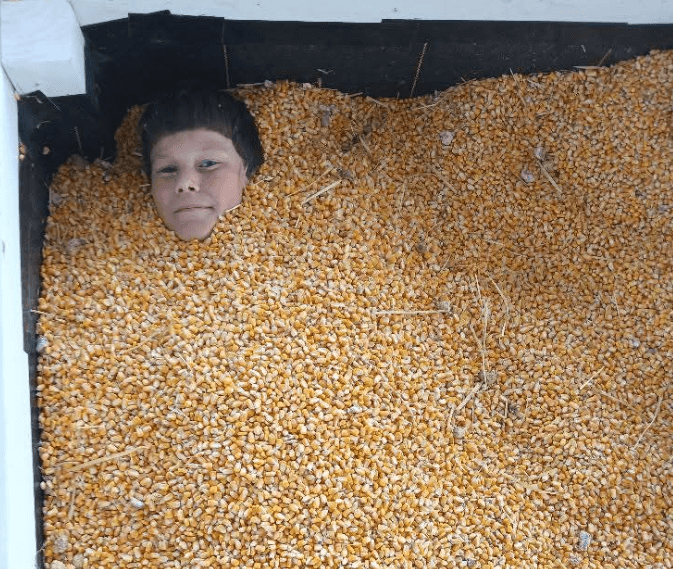 Child buried in corn kernels at the Pumpkin Palooza at Keil's Produce and Greenhouse